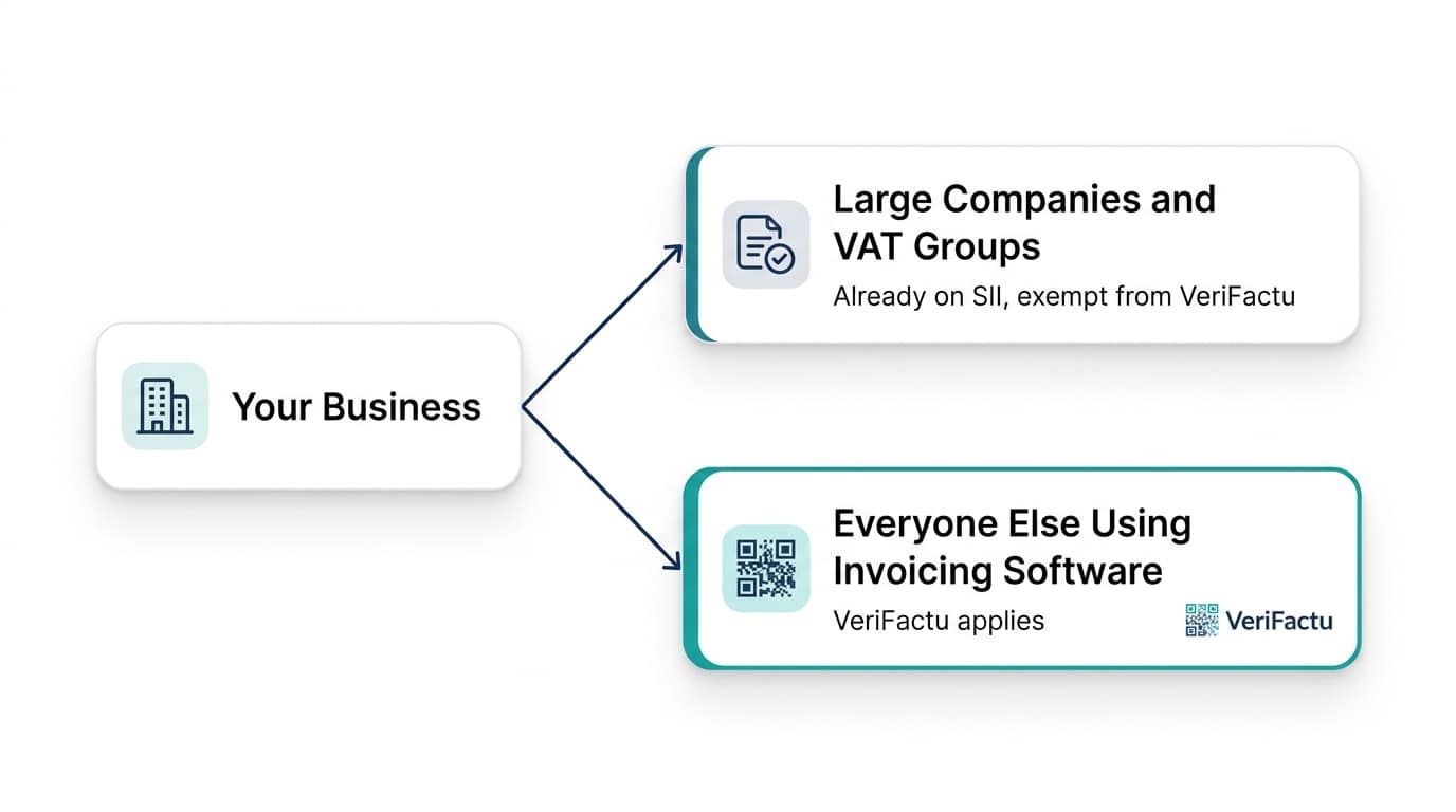 Decision diagram: large companies and VAT groups on the SII are exempt, everyone else using invoicing software falls under VeriFactu